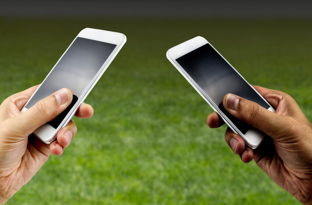 Online Reputation Risk Assessment for a Professional Athlete